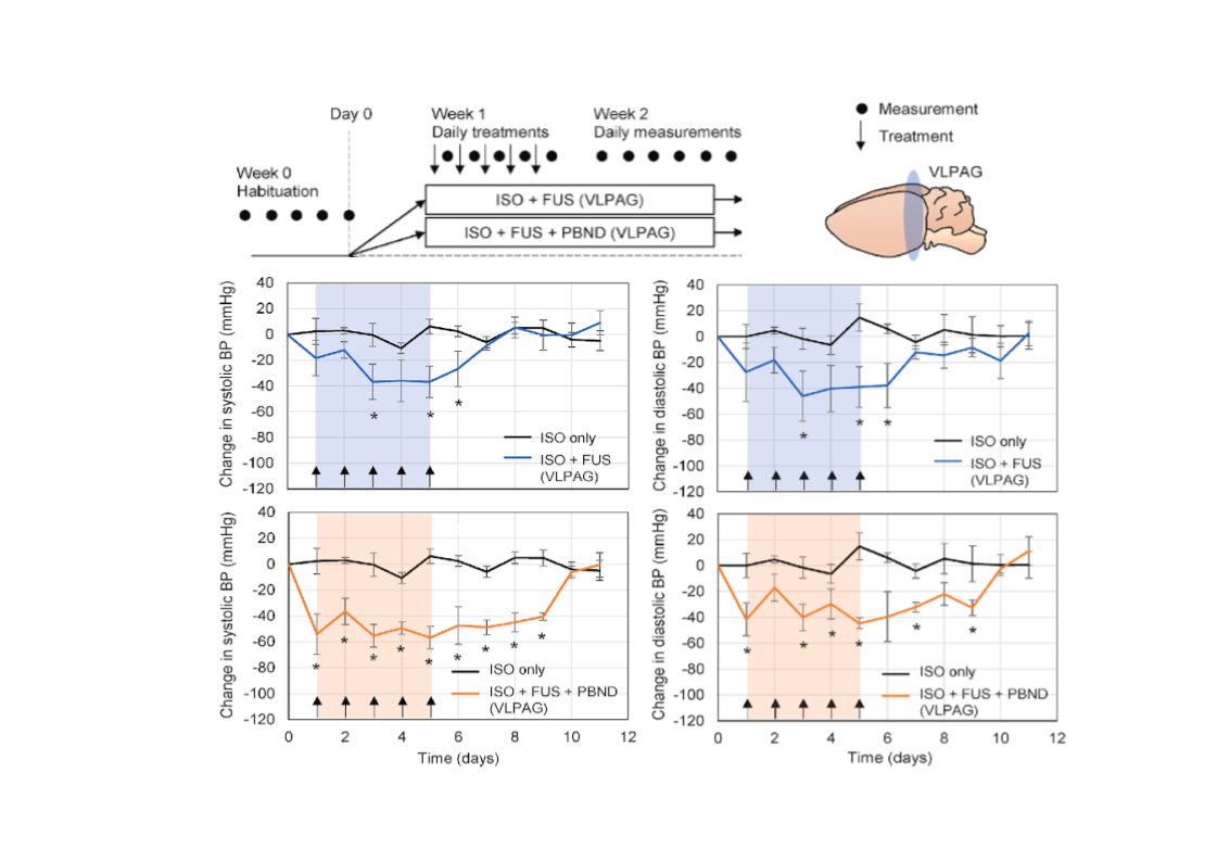 Neuromodulation Application page.docx (1)