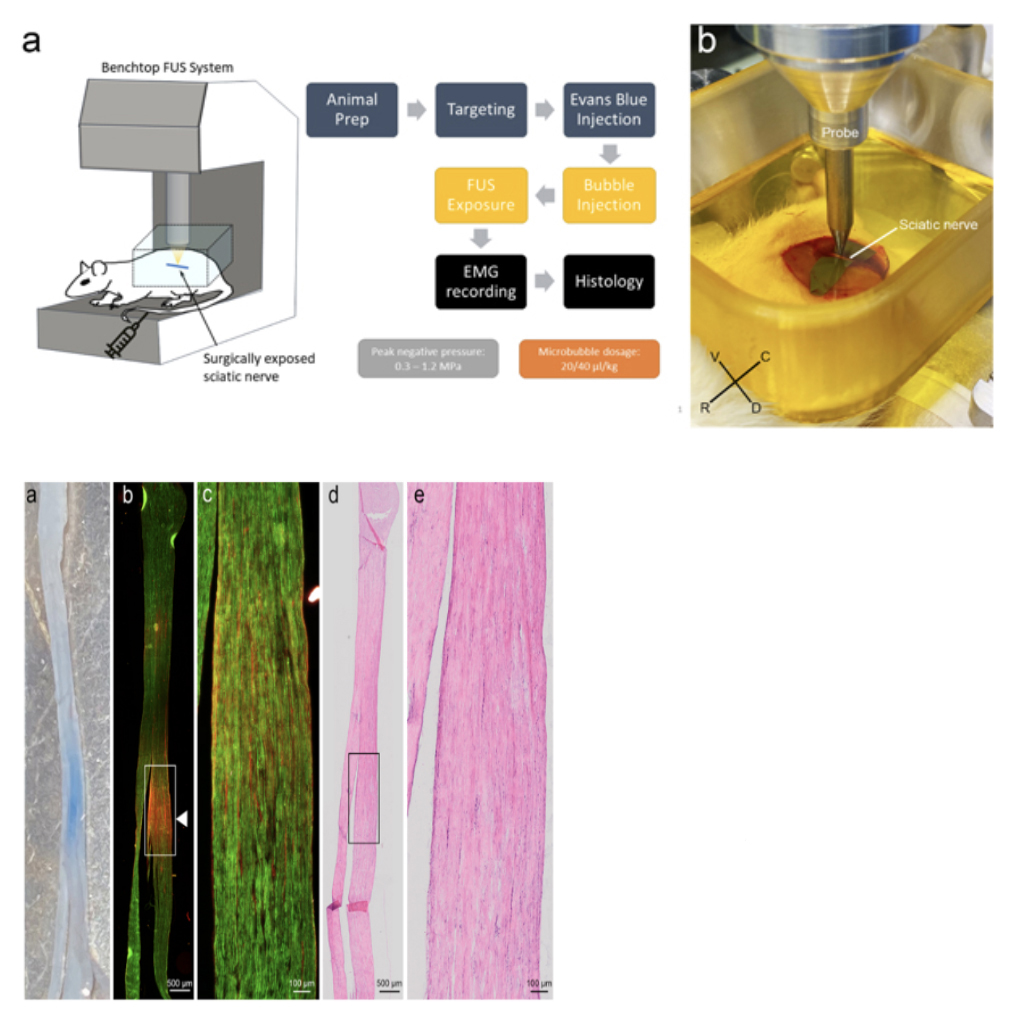 emerging-frontiers_applications